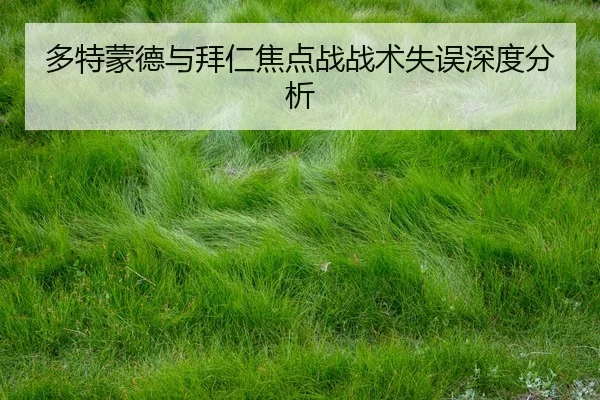 多特蒙德与拜仁焦点战战术失误深度分析